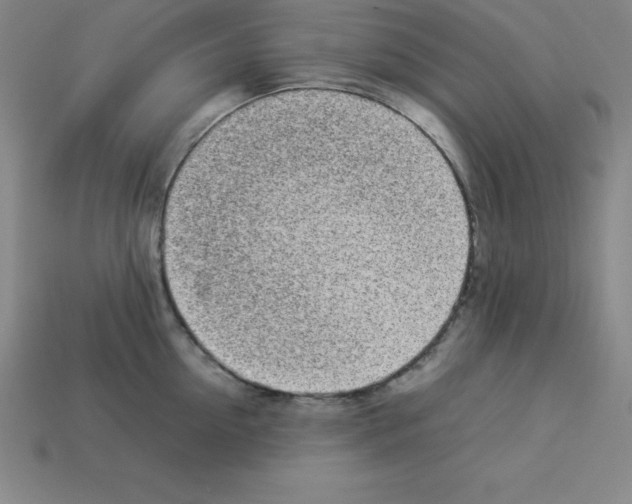 X0000112850954200910021249