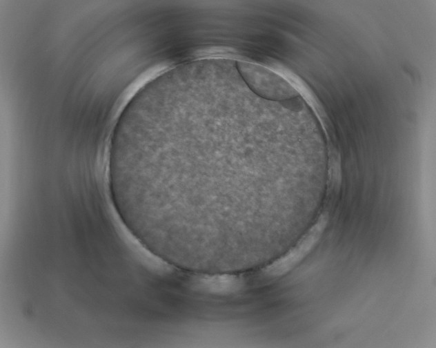 X0000112850957200910021249