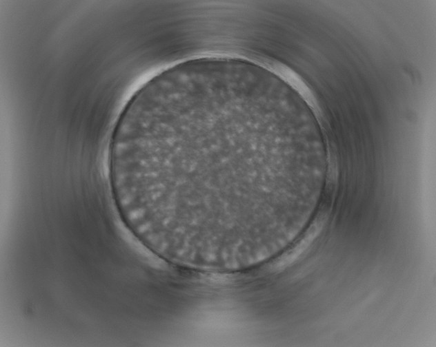 X0000112850958200910021249