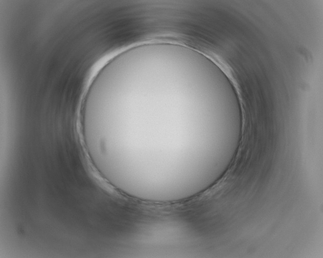 X0000112850960200910021249