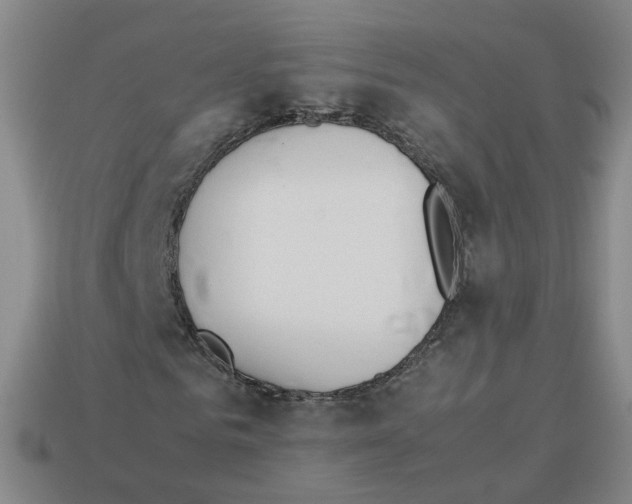 X0000112850961200910021248