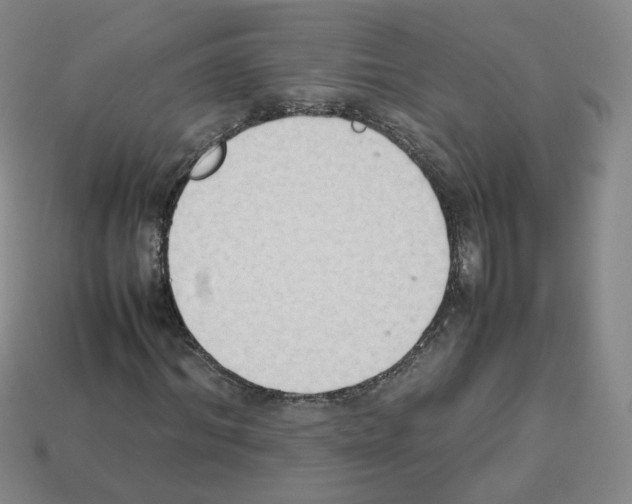 X0000112850964200910021248