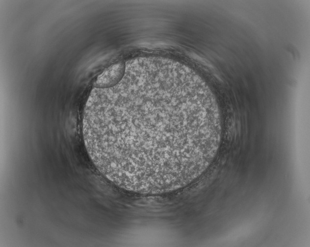 X0000112850966200910021248