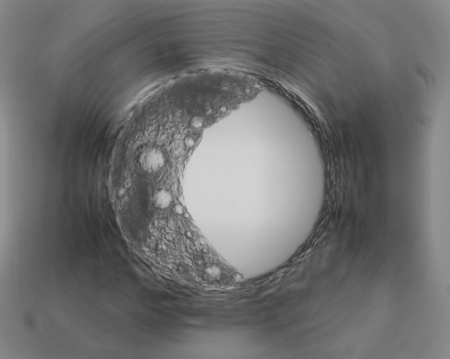 X0000112850968200910021248