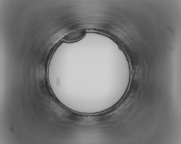 X0000112850969200910021248