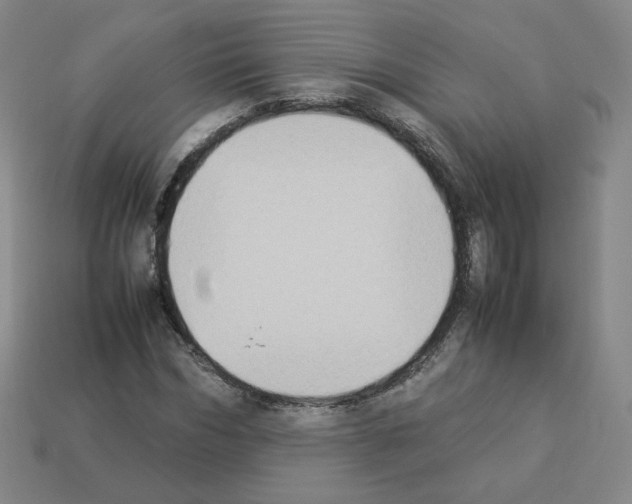 X0000112850970200910021248