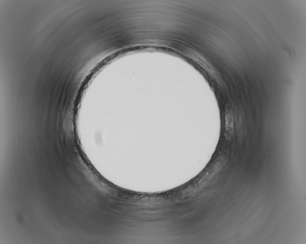 X0000112850972200910021248