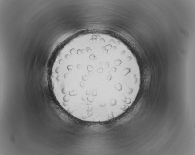 X0000112850974200910021248