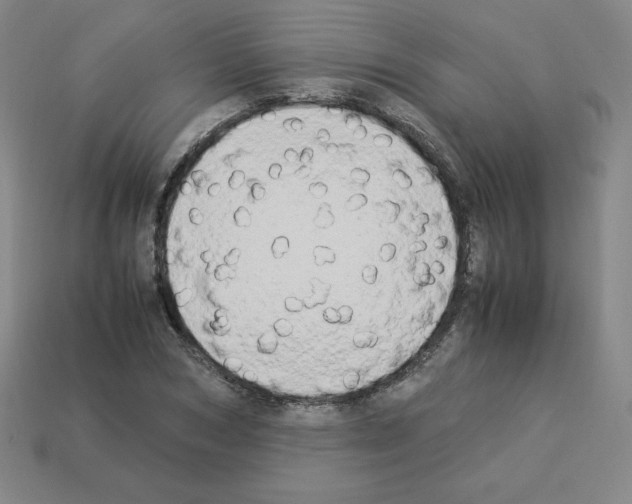 X0000112850978200910021248