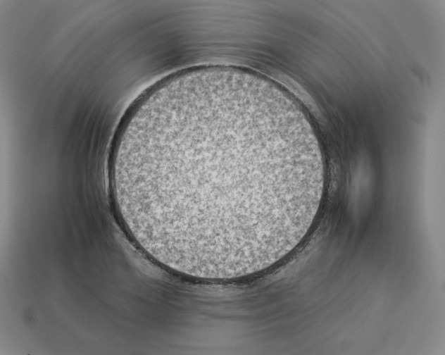 X0000112850980200910021248