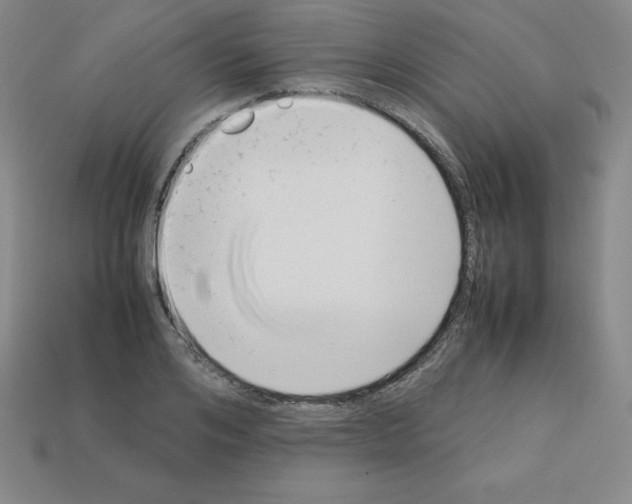 X0000112850984200910021248