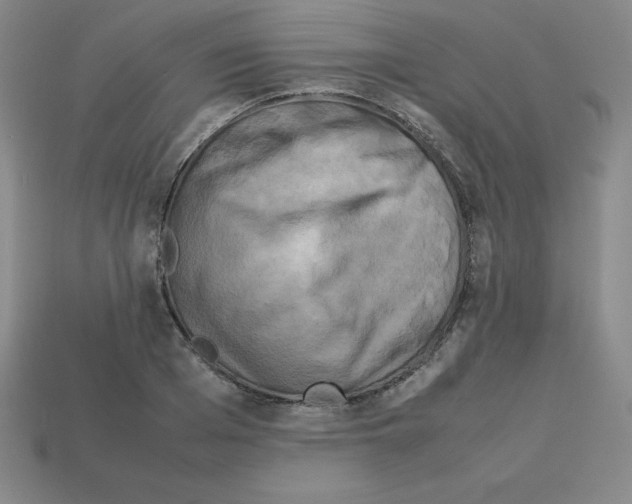 X0000112850985200910021248