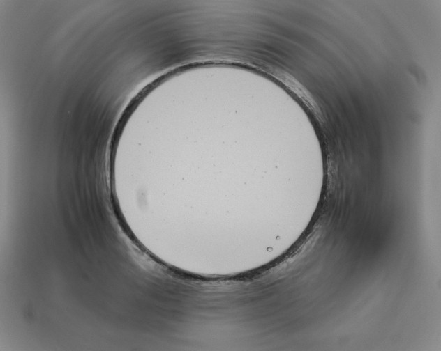 X0000112850988200910021248