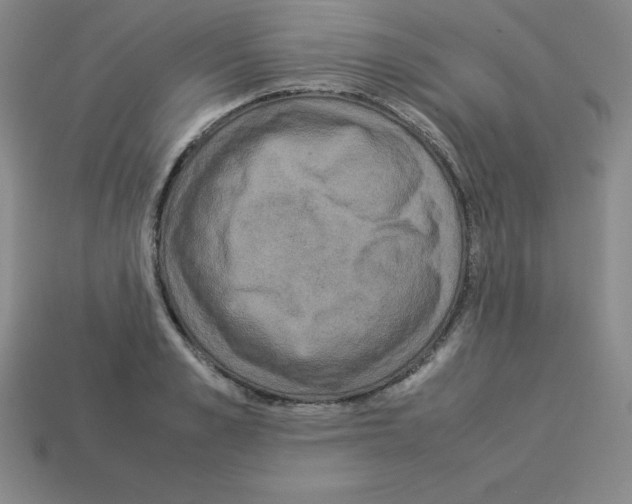 X0000112850989200910021248