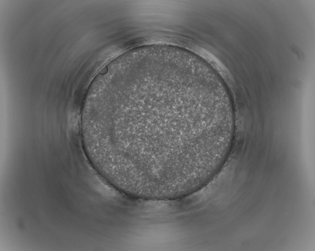 X0000112850993200910021248