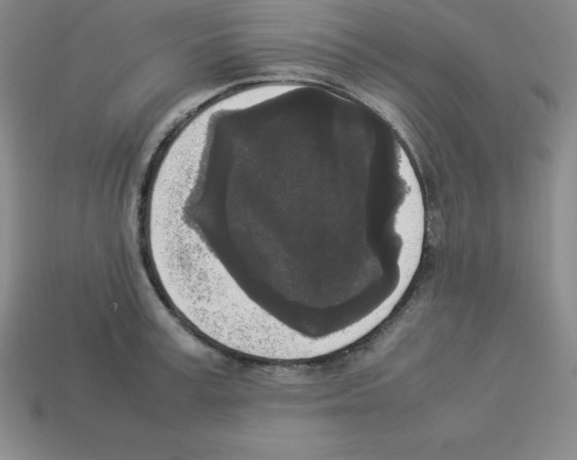 X0000112850995200910021248