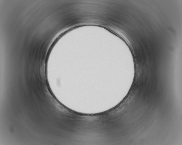 X0000112850996200910021248