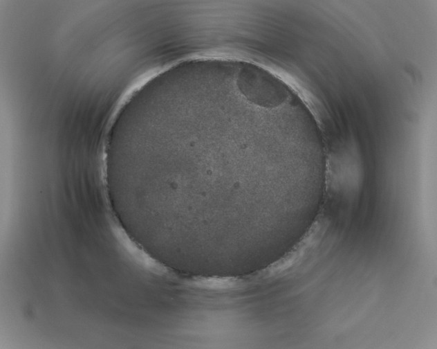 X0000112850998200910021248