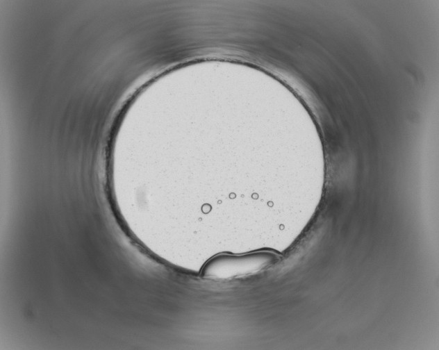 X0000112850999200910021248