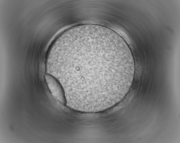 X0000112851000200910021248