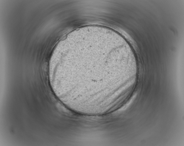 X0000112851001200910021248