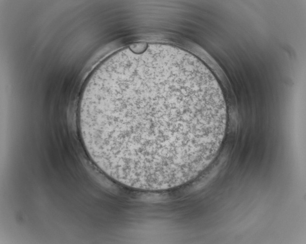 X0000112851002200910021247