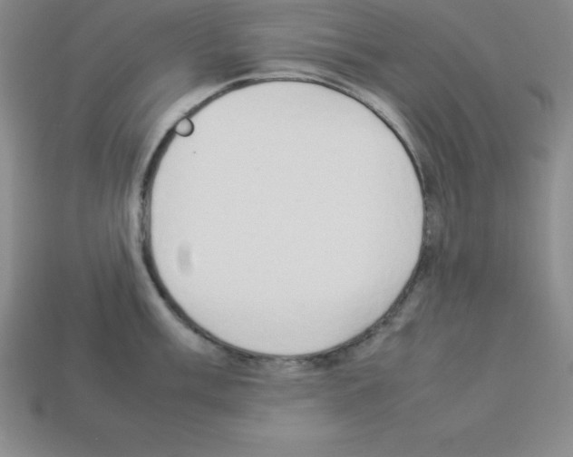 X0000112851003200910021247