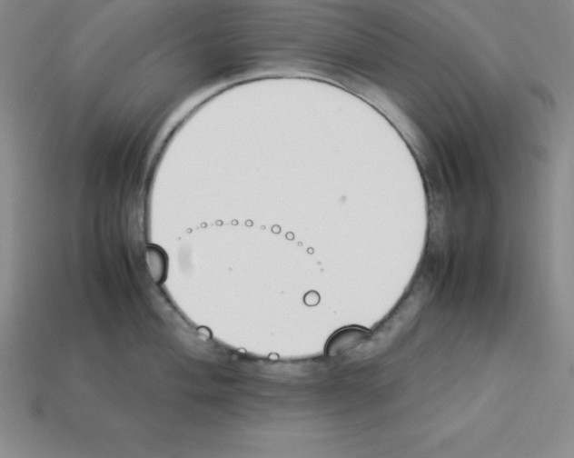 X0000112851004200910021247