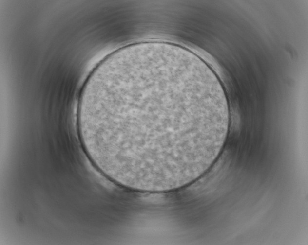 X0000112851006200910021247