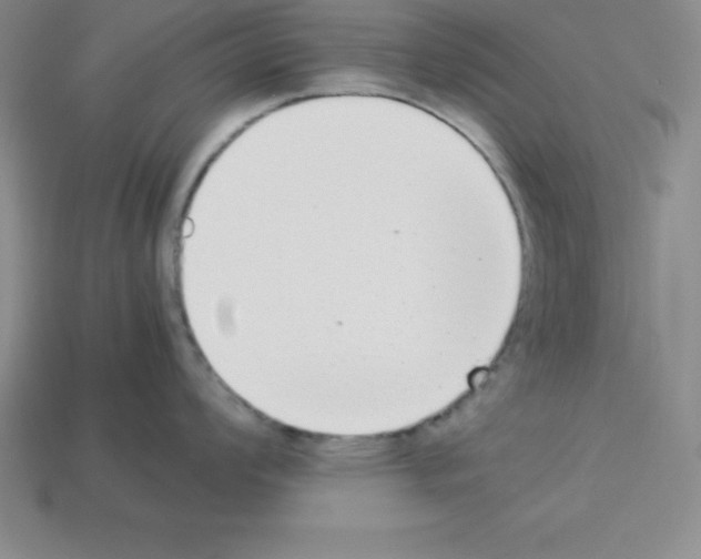 X0000112851008200910021247