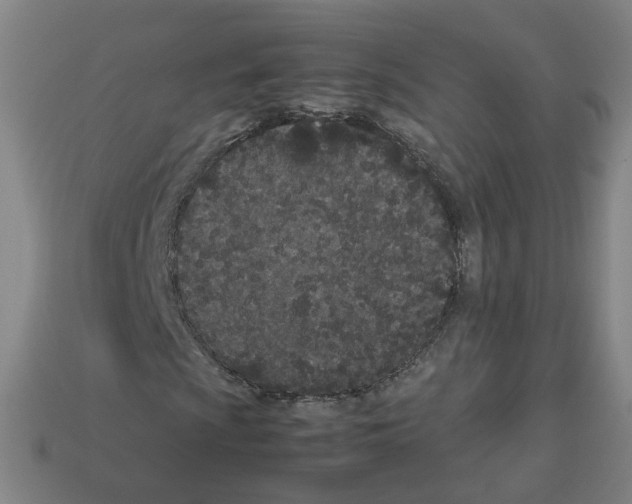 X0000112851009200910021247