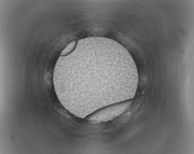 X0000112851010200910021247