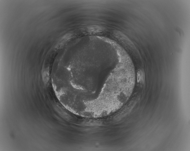 X0000112851011200910021247