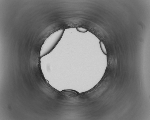 X0000112851012200910021247