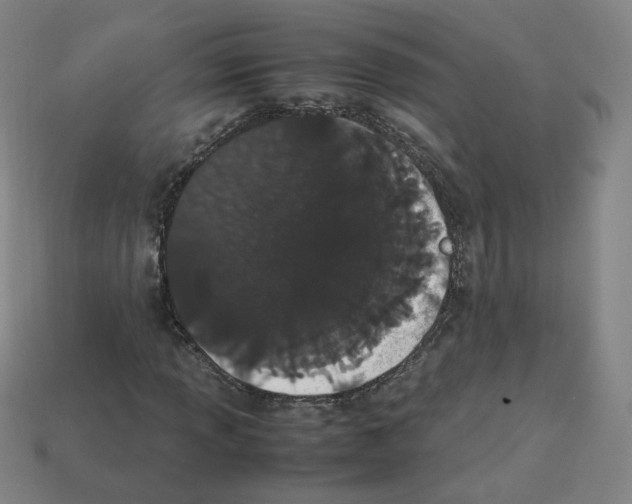 X0000112851013200910021247