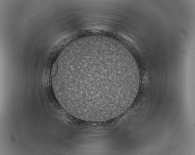 X0000112851014200910021247