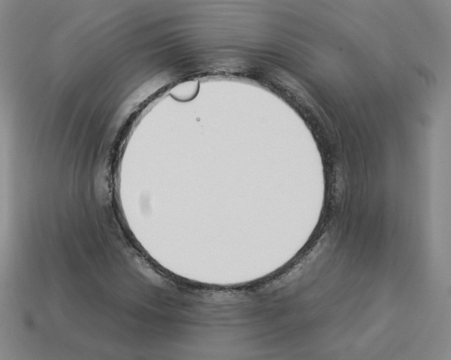 X0000112851018200910021247