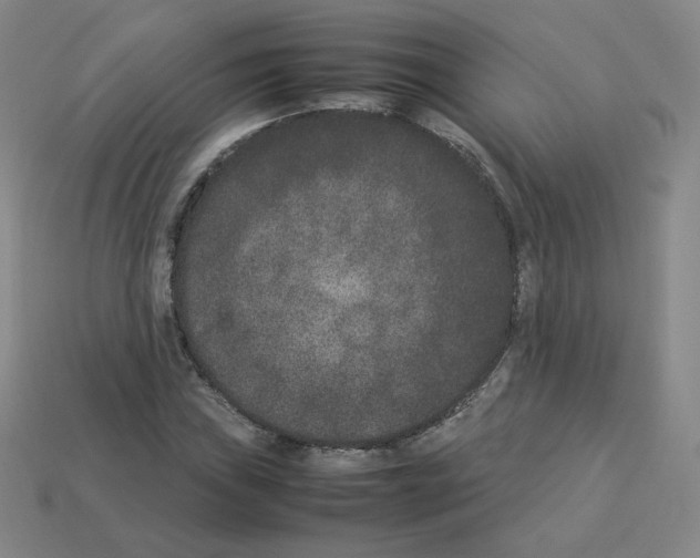 X0000112851019200910021247