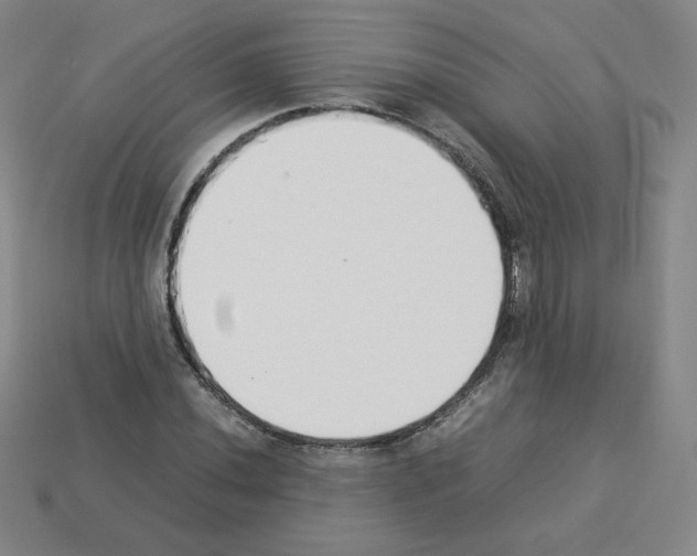 X0000112851020200910021247