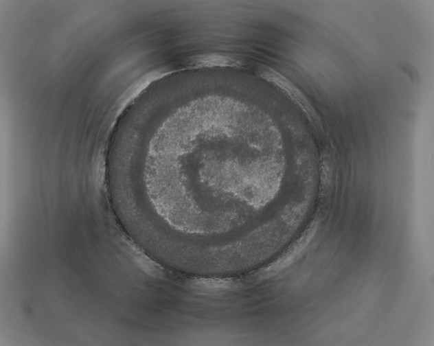 X0000112851023200910021247