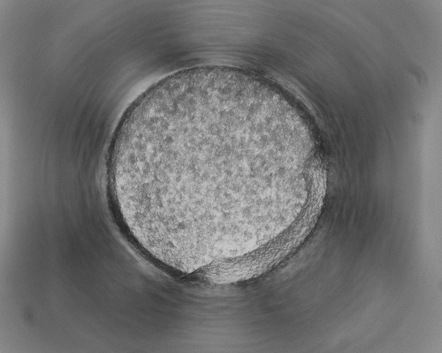 X0000112851024200910021247