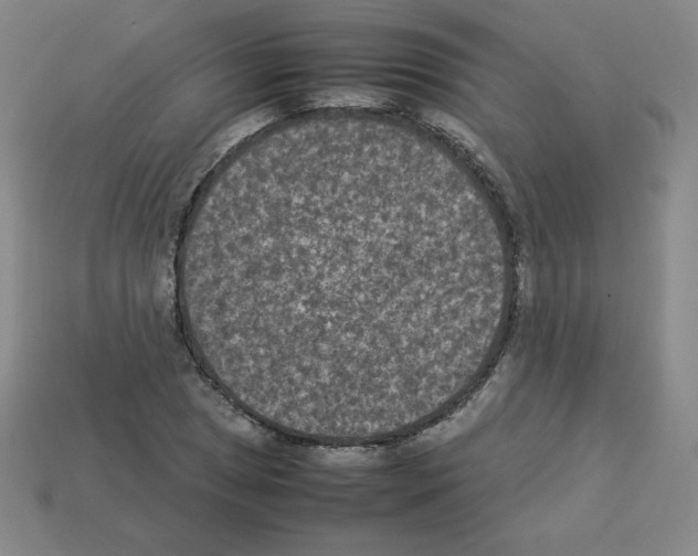 X0000112851025200910021247