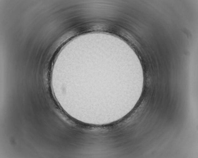 X0000112851026200910021247