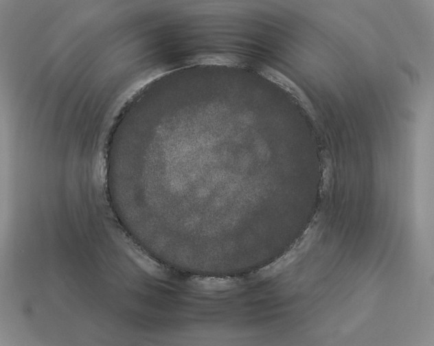 X0000112851027200910021247