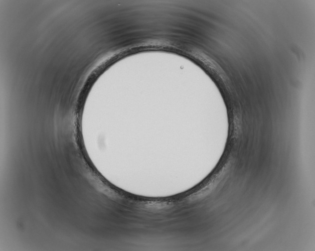 X0000112851029200910021247