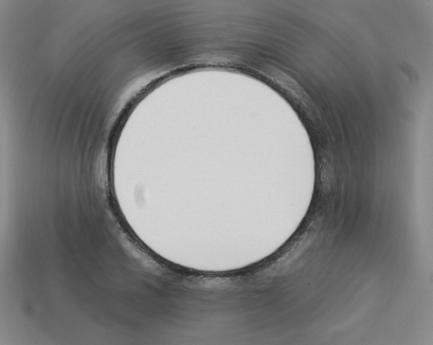 X0000112851030200910021247