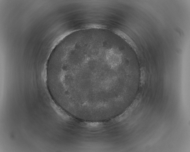 X0000112851031200910021247