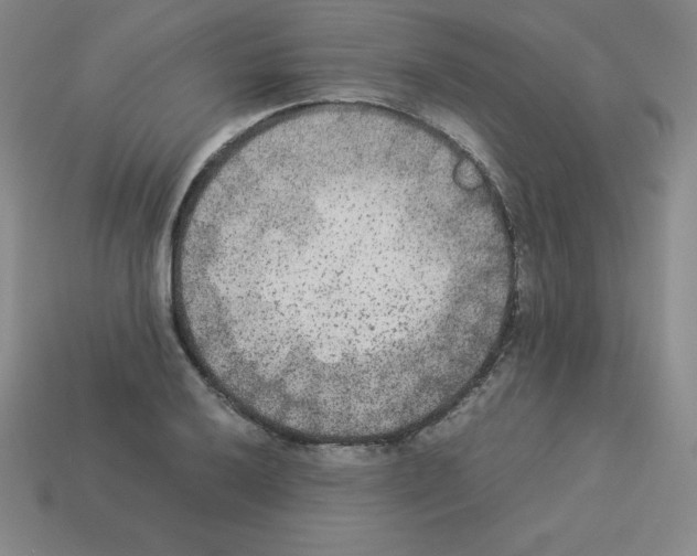 X0000112851032200910021247