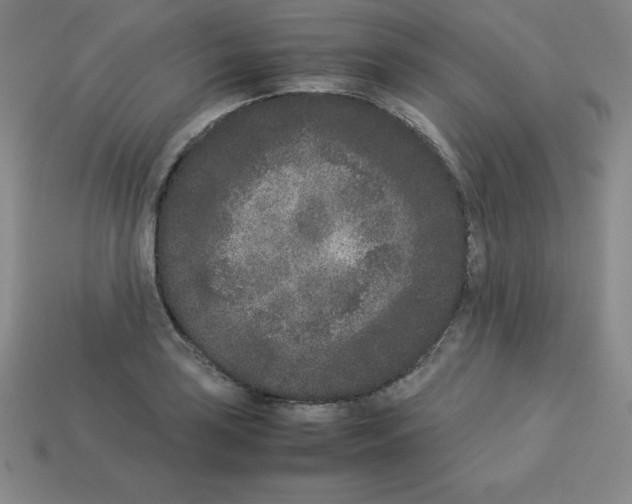 X0000112851035200910021247