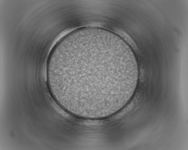 X0000112851036200910021247